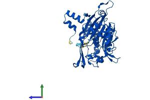 Protein Structure (PS) image for Ureidopropionase, beta (UPB1) (AA 1-393) protein (His tag) (ABIN7559805)