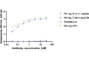 HA-tagged Protein was coated on an ELISA plate at 100 ng. (Rekombinanter HA-Tag Antikörper  (AA 98-106))