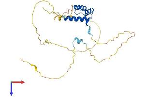 ISX Protein (AA 1-245) (His tag)