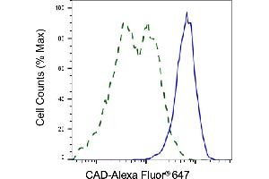 Validation of CAD knockdown using flow cytometry.