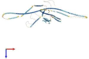 ERC1 Protein (AA 1-1116) (His tag)