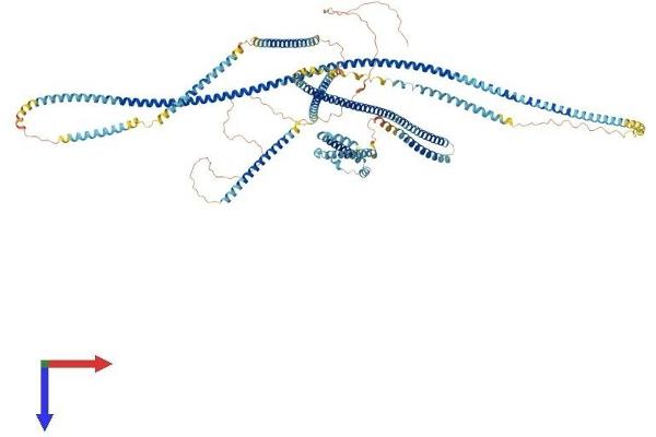 ERC1 Protein (AA 1-1116) (His tag)