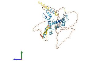 AlphaFold protein structure predicition of Human Recombinant ZNF174 Protein, UniprotID Q15697 (ZNF174 Protein (AA 1-407) (His tag))