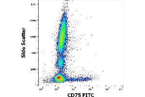 Flow cytometry surface staining pattern of human peripheral whole blood stained using anti-human CD75 (LN1) PE antibody (4 μL reagent / 100 μL of peripheral whole blood). (ST6GAL1 Antikörper  (FITC))