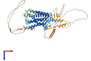 ADRA1D Protein (AA 1-572) (His tag)