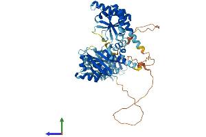 Protein Structure (PS) image for Insulin-Like Growth Factor 2 mRNA Binding Protein 2 (IGF2BP2) (AA 1-592) protein (His tag) (ABIN7563829)