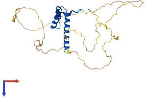 HOXC12 Protein (AA 1-280) (His tag)