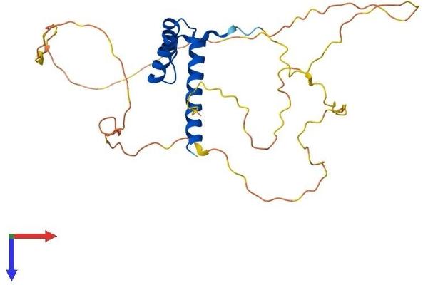 HOXC12 Protein (AA 1-280) (His tag)