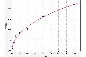 NPR2 ELISA Kit