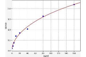 Typical standard curve (NPR2 ELISA Kit)