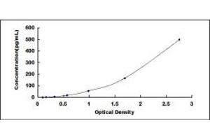 Typical standard curve (ITLN1/Omentin ELISA Kit)