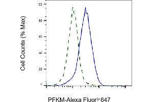 Validation of PFKM knockdown using flow cytometry. (Rekombinanter PFKM Antikörper)