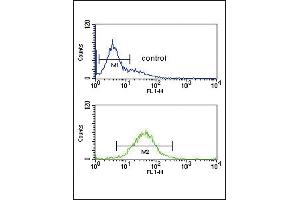 HIF1A Antibody (ABIN651073 and ABIN2840060) flow cytometric analysis of K562 cells (bottom histogram) compared to a negative control cell (top histogram). (HIF1A Antikörper)