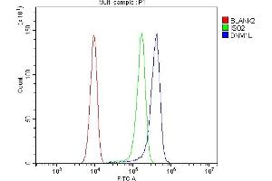 Flow Cytometry analysis of SiHa cells using anti-DRP1/DNM1L antibody (ABIN7602180). (Dynamin 1-Like Antikörper  (AA 618-736))
