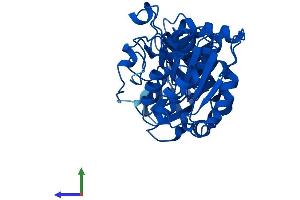 Protein Structure (PS) image for Alcohol Dehydrogenase 7 (Class IV), mu Or sigma Polypeptide (ADH7) (AA 1-374) protein (His tag) (ABIN7557838)