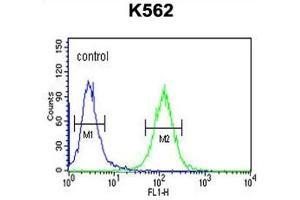 Flow Cytometry (FACS) image for anti-Reticulon 4 Receptor-Like 1 (RTN4RL1) antibody (ABIN3002287) (RTN4RL1 Antikörper)