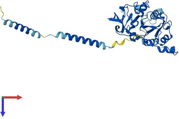B3GAT3 Protein (AA 1-335) (His tag)