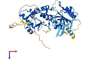 DNMT3L Protein (AA 1-421) (His tag)