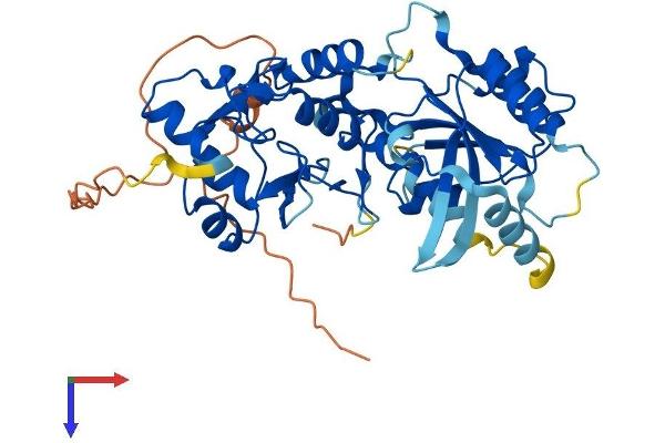 DNMT3L Protein (AA 1-421) (His tag)