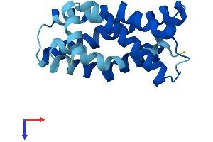 MPV17 Protein (AA 1-176) (His tag)