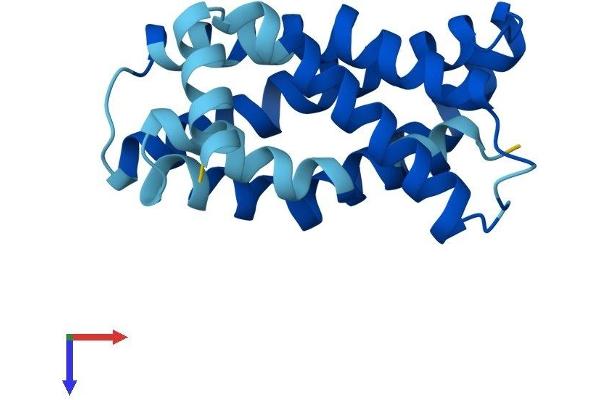 MPV17 Protein (AA 1-176) (His tag)