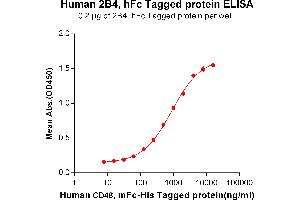 Natural Killer Cell Receptor 2B4 (CD244) (AA 22-221) protein (Fc Tag)