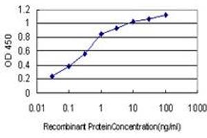 Detection limit for recombinant GST tagged AHNAK is approximately 0. (AHNAK Antikörper  (AA 1-100))