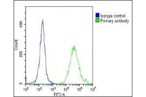 Overlay histogram showing Hela cells stained with (ABIN652044 and ABIN2840518)(green line). (PPARG Antikörper  (N-Term))