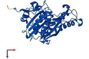 MEMO1 Protein (AA 1-297) (His tag)