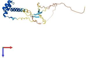 AlphaFold protein structure predicition of Human Recombinant DPRX Protein, UniprotID A6NFQ7