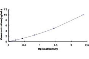 BRP44L ELISA Kit