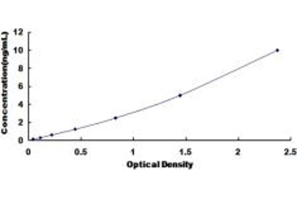 BRP44L ELISA Kit