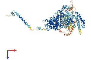 SNX13 Protein (AA 1-968) (His tag)