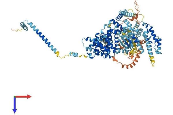 SNX13 Protein (AA 1-968) (His tag)