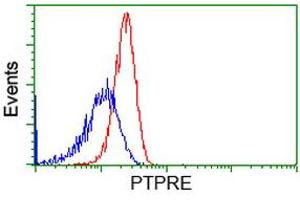 Image no. 2 for anti-Protein tyrosine Phosphatase, Receptor Type, E (PTPRE) antibody (ABIN1500507)
