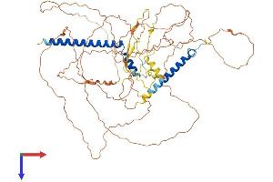 DNA Segment, Chr 7, ERATO Doi 443, Expressed (D7ERTD443E) (AA 1-644) protein (His tag)
