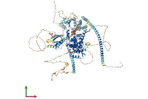 Protein Structure (PS) image for TBC1 (Tre-2/USP6, BUB2, Cdc16) Domain Family, Member 1 (TBC1D1) (AA 1-1168) protein (His tag) (ABIN7555751)