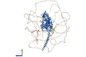 Protein Structure (PS) image for GNAS Complex Locus (GNAS) (AA 1-1037) protein (His tag) (ABIN7554040)