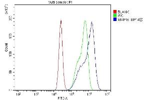 Flow Cytometry analysis of CACO-2 cells using anti-MT2-MMP/MMP15 antibody (ABIN7599965). (MMP15 Antikörper  (AA 132-202))