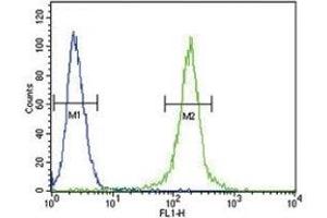 AMH antibody flow cytometric analysis of 293 cells (green) (AMH Antikörper  (AA 424-451))