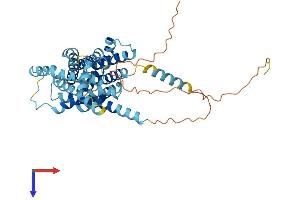 SLC35F3 Protein (AA 1-421) (His tag)