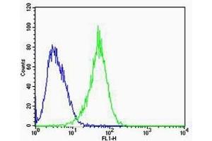 Flow cytometric analysis of U-87 MG cells using RAC1(green, Cat(ABIN6242819 and ABIN6577074)) compared to an isotype control of mouse IgG2b(blue). (RAC1 Antikörper)