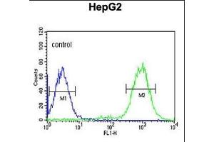 C19orf21 Antibody (N-term) (ABIN651044 and ABIN2840046) flow cytometric analysis of HepG2 cells (right histogram) compared to a negative control cell (left histogram). (C19orf21 Antikörper  (N-Term))