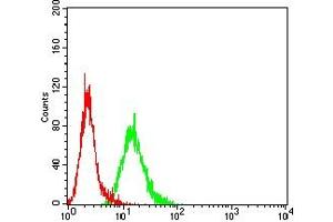 Flow Cytometry (FACS) image for anti-DNA Fragmentation Factor, 40kDa, beta Polypeptide (Caspase-Activated DNase) (DFFB) (AA 1-289) antibody (ABIN7193449)