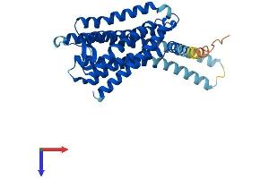 G Protein-Coupled Receptor 26 (GPR26) (AA 1-337) protein (His tag)
