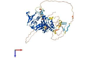 GRB10 Protein (AA 1-594) (His tag)