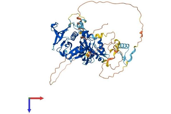 GRB10 Protein (AA 1-594) (His tag)