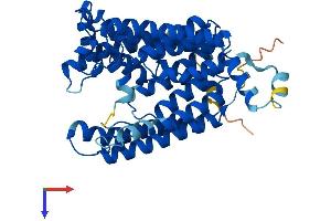 PIGM Protein (AA 1-423) (His tag)