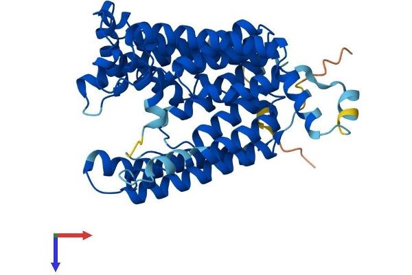 PIGM Protein (AA 1-423) (His tag)