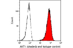 Flow Cytometry (FACS) image for anti-V-Akt Murine Thymoma Viral Oncogene Homolog 1 (AKT1) (AA 100-150) antibody (ABIN7795633) (Rekombinanter AKT1 Antikörper  (AA 100-150))